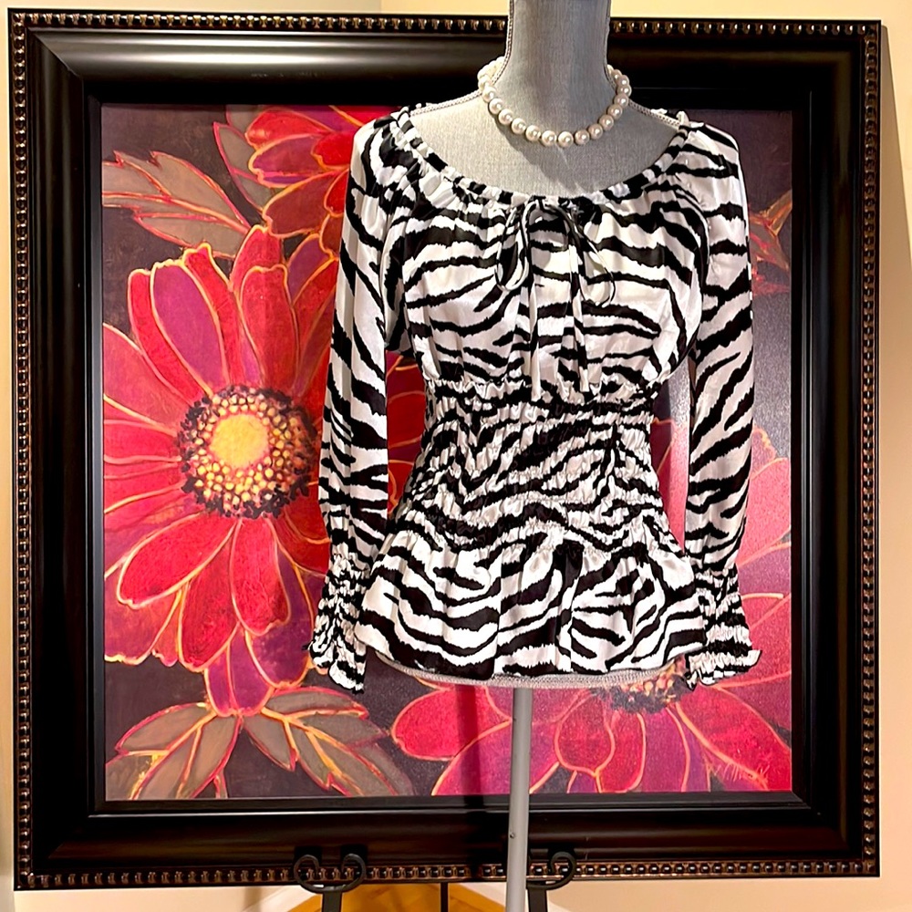 Gorgeous & Flattering | Zebra Print Blouse 🦓